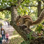 گلہری …… ایک ننھی سی مخلوق اور بڑے بڑے فلسفے