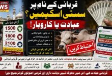 qurbani apeel