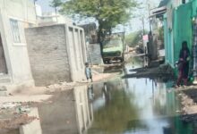 balapur drenej