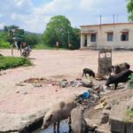 پاتورپرائمری ہیلتھ سینٹر کے انتظام پرسنگین سوالات؛ معمولی علاج کے مریضوں کو بھی اکولہ ریفر کرنے کا الزام، 108 ایمبولینس کے استعمال پرعوام میں تشویش